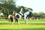 SBM_55525