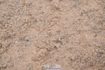 241006A-124541-07287