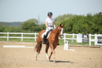 SBM_009474