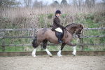 SBM_006065