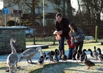 Family Feeding 3 7x5