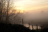 Morning mist 1
