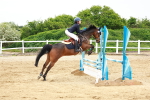 SBM_009040