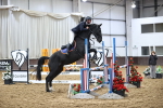SBM_006903
