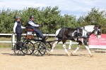 SBM_000908