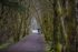 Kielder-1149