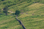 Wasdale-171