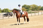 SBM_001644