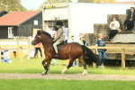 SBM_69054