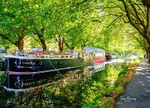 Canal Boats