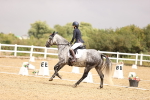 SBM_004536