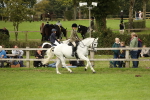 SBM_71685