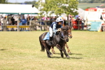 SBM_16529