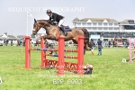 BPP_6993