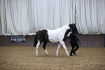 SBM_5336