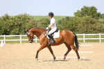 SBM_010237