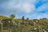 DSCF8864