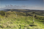 The Rolling South Downs