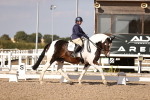 SBM_08030