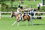 SBM_47113