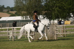 SBM_10251