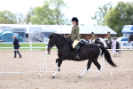 SBM_15806