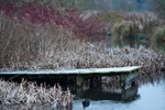Wednesday 7th Jan 2009jpg