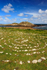 Stone maze, St Martin's & White Island