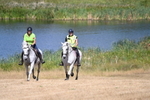 WJ6_8872