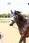 Arena Eventing - 25-7-26 portfolio
