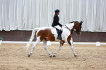 SBM_001645