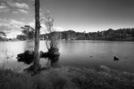 Brownsea Island - West Lake