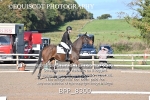 BPP_8300