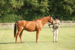 SBM_10457