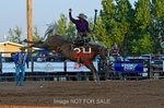 3HRodeo7-12-24_LJD_3HR4051_LJD