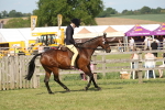SBM_09651