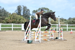 SBM_000816