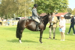SBM_66638