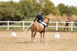SBM_004696