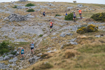 Hutton Roof-123