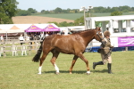 SBM_09244
