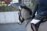 BVRC SJ 170319 16