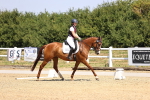 SBM_003698