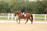 SBM_00546