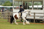 SBM_06255