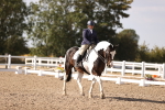 SBM_08013
