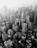 Misty Skyline