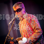 The Sacred Hearts-26