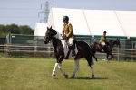 SBM_17852