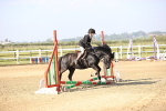 SBM_000088